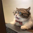 화이트민박 이미지