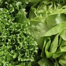 낙천농장 이미지