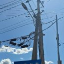 스타벅스 파주문산DT점 이미지