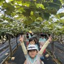 채희농장 이미지