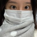 아이라이크 | 군자속눈썹 펌포인트연장 대만족 후기 :: 아이라이크미