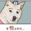 베이피움 - 강남구 삼성로85길 42 | 베이피움
