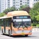 광일여객 이미지