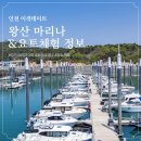 인천 이색 데이트 요트체험이 가능한 왕산마리나(위치와 가격, 예약 방법 등)