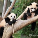 냠냠 - 마포구 모래내로7길 89 | 냠냠
