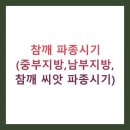 남부농자재 | 참깨 파종시기 (중부지방,남부지방, 참깨 씨앗 파종시기)