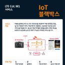 cat 3/4 뉴시스