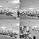 고고커머스 이미지