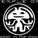 8월 14일(목) 02 프로덕션의 야심작 &#34;일렉트릭 서커스&#34; 출연진 라인 업 입니다. 이미지