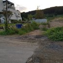 포항시남구35 이미지