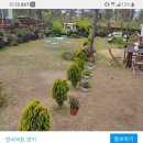 랄랄라더예쁜협재펜션 이미지