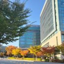 삼성알앤디캠퍼스 이미지