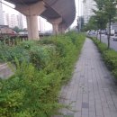 성일중학교 | 백종원의 3대천왕에 나온 숨은 맛집 - 제기동 소허파전골