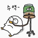 카페051정관