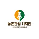 청년피자 당산양평점 | 마음이 머무는 여행, 양평에서 순천까지
