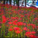 활천공원 이미지