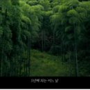 예일태권도장 이미지