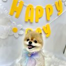 로고스 동물병원 이미지