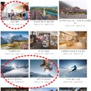 (주)머스트고 | [스위스] 스위스 패스 | 융프라우 VIP 패스 (동신항운 할인) 총정리 | 교통 후기 및 추천