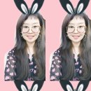 강아지를 미용하는 여자 이미지