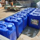 회석농장 이미지