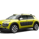 칵투스 아일랜드 이미지