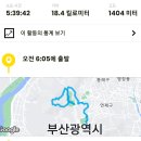 부산 화지산 쇠미산 백양산 (2024. 8. 31) 이미지