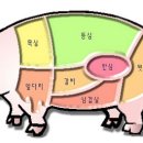 고기살때 유용한 영어표현 이미지