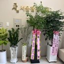 주식회사 금강교역 이미지