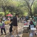 일취월장 플리마켓 후기