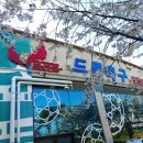 드론축구 | 대구에서 전주 여행 중 전주드론축구상설경기 방문후기~~~