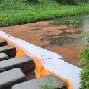 탄동천-1 이미지