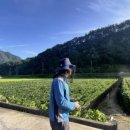 단양군농업기술센터 이미지