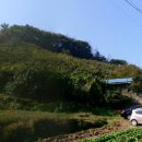 진영판매서비스 이미지