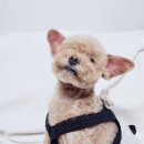 도기살롱 이미지