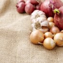 동물병원 HADA 이미지