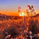 서호초등학교 병설유치원 이미지