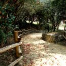 광양 옥룡사지 이미지