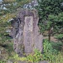 세무법인자성택스 - 강남구 언주로93길 21 | 세무법인자성택스