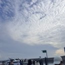 외국인한국여행스마일투어 | [발리 신혼여행 3탄] 남편을 위해 용기 낸 누사페니다 투어 🌊 아찔했던 울루와투 사원과 빨간맛 마무리...