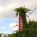 공주교육대학교 박물관 이미지