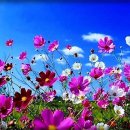 가을을 꿈꾸는 여자 이미지