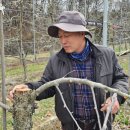 김기수 농장 이미지