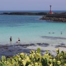 월령리(월령포구) 이미지