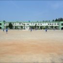 돌고래농장 이미지