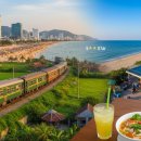 마당구클럽 | 나트랑 옆 숨은 보석! 베트남 '뚜이호아' A-to-Z 여행 가이드 🇻🇳