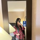 A-ONE카프라자 | 캘거리에서 밴프 렌트카 대여 페이토 레이크 보우호