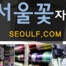나비꽃자재 이미지