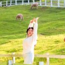 혜선목장 이미지