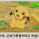 만타스시 이미지